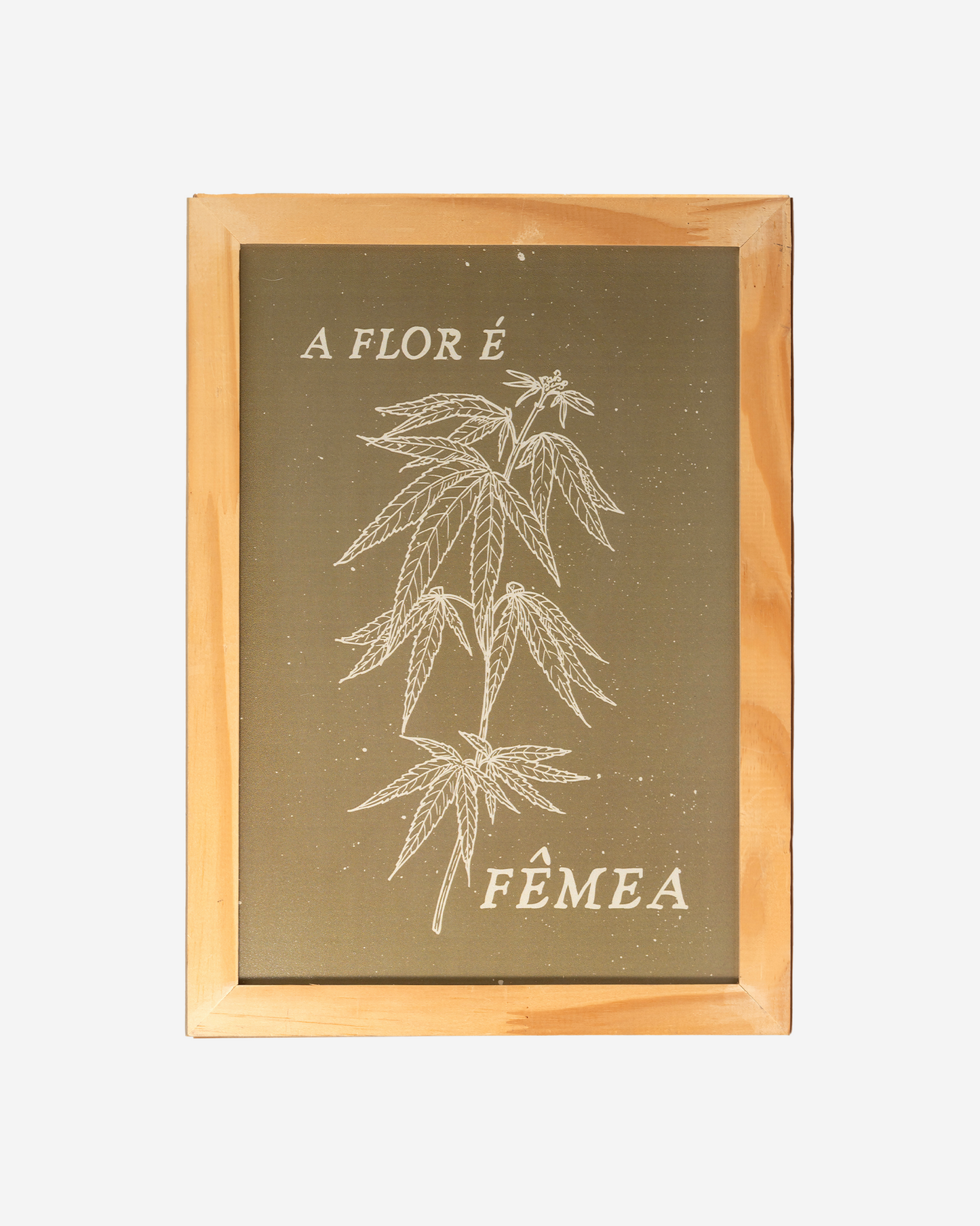 Quadro "A Flor é Fêmea"