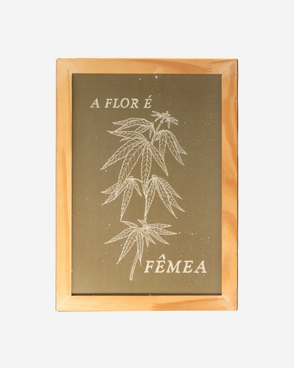 Quadro "A Flor é Fêmea"