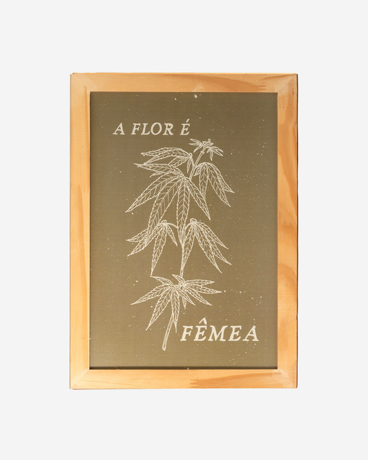 Quadro "A Flor é Fêmea"
