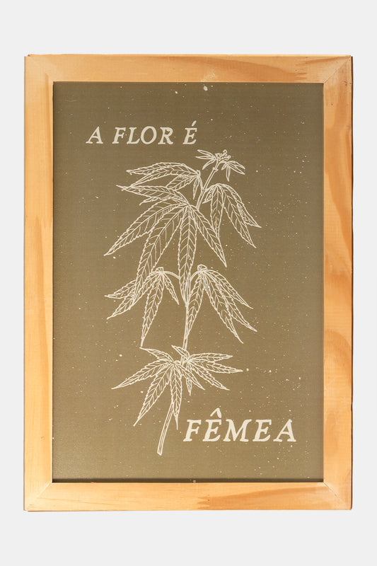 Quadro "A flor é fêmea"
